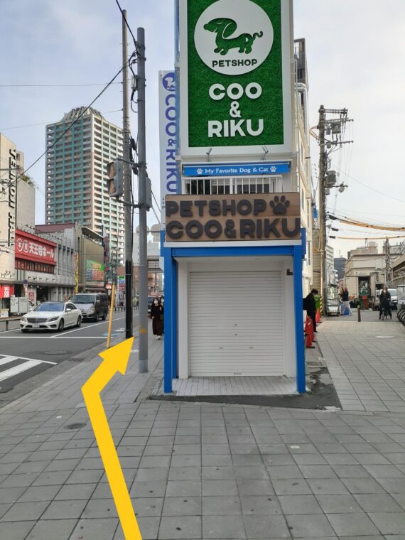 大通り沿いの道